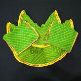 Light Green Radha Krishna Poshak